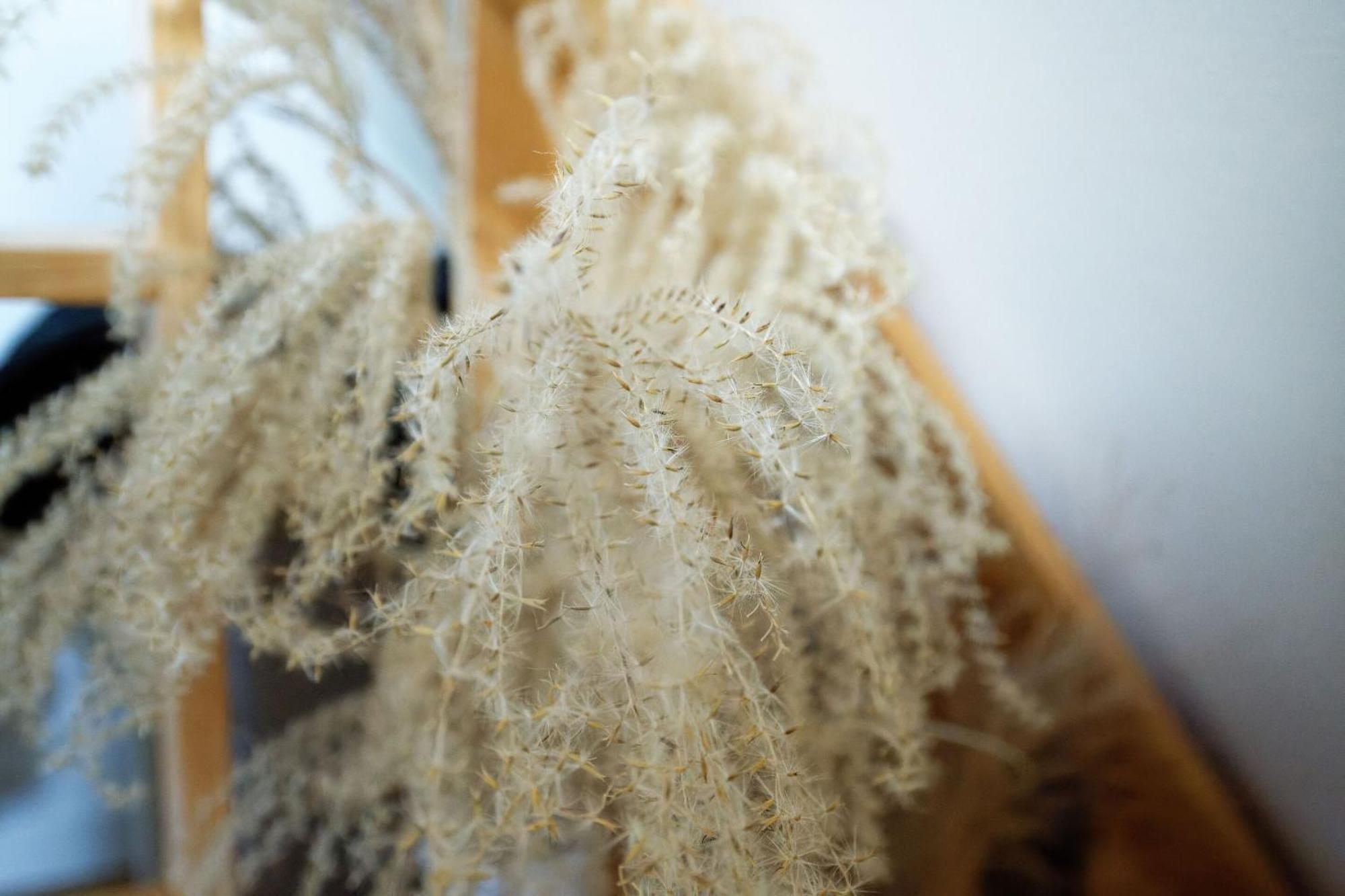 Willa Le Cocoon D'Etretat Bordeaux-Saint-Clair Zewnętrze zdjęcie